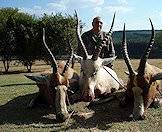 A white blesbok trophy looks striking alongside his common counterparts.