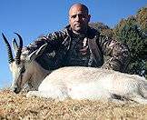 Trophy hunt the white springbok in South Africa.