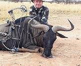 Blue wildebeest are also available for bowhunting.