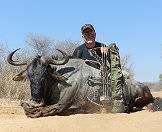 A hunter displays his blue wildebeest trophy for the camera.