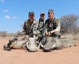 A team of bow hunters smile with their warthog trophies.