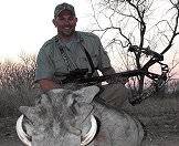 A warthog taken on a bow hunting safari.
