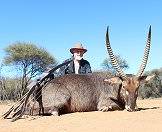 Hunt the handsome waterbuck on a bow hunting safari with ASH Adventures.