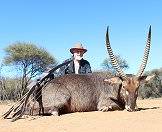 Hunt the handsome waterbuck on a bow hunting safari with AS Hunting Adventures.