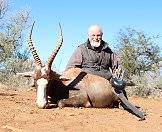 The blesbok is a bow hunting staple.