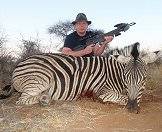A zebra hunted with a crossbow.