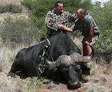 Bow hunt the Big Five with AS Hunting Adventures.