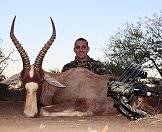 A blesbok bow hunt in South Africa.