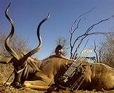 A kudu bowhunt is an incredibly exciting and challenging endeavor.