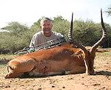 The impala is one of the easier antelopes to bowhunt.