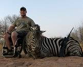 A Burchell's zebra hunt.
