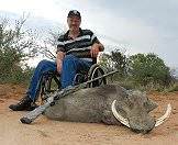 A warthog taken on a hunting safari in South Africa.