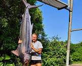 Marlins are popular with big game fishermen.