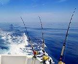 Fishing rods set up for a day of deep sea fishing.