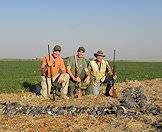 A trio of hunters pose alongside the day's wing shooting spoils.