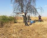 Hunters relax beneath the shade of a tree during a wing shooting hunt.