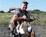 Egyptian geese are wing shooting stapes.