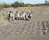 A variety of birds are available for wing shooting.