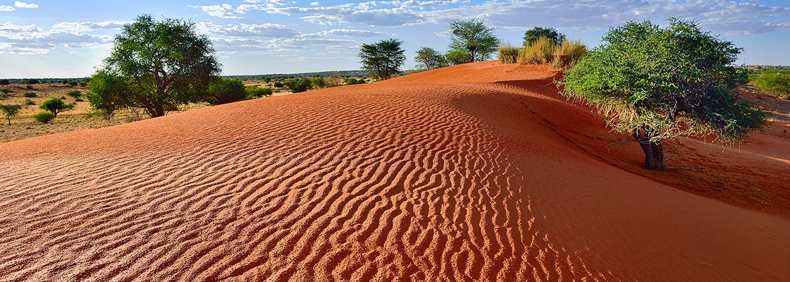 Semi-desert terrain in Namibia.