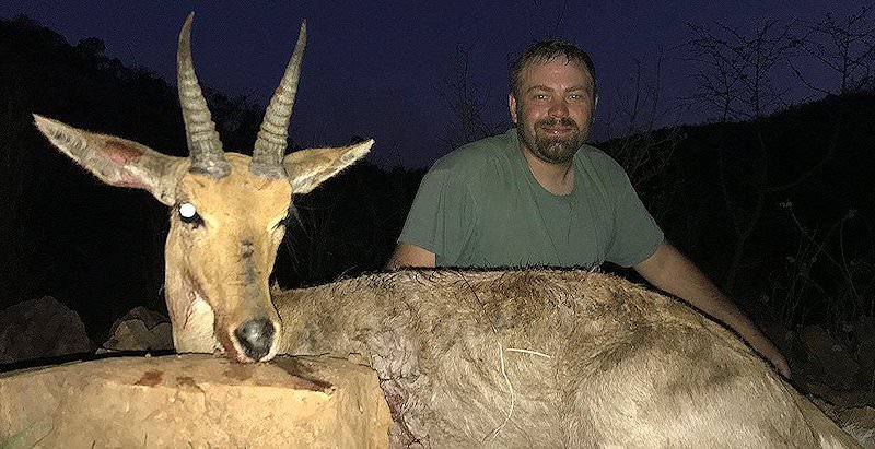 A mountain reedbuck hunted in the early evening in the Eastern Cape.