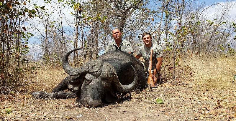 A Cape buffalo hunt with ASH Adventures.