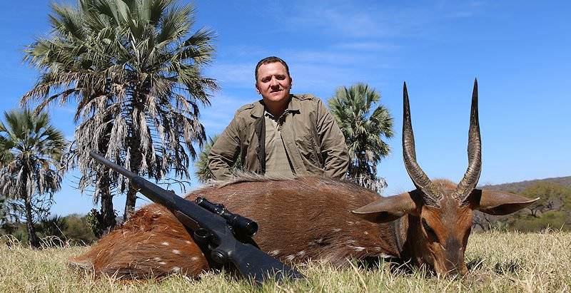 A bushbuck hunted in Zimbabwe.