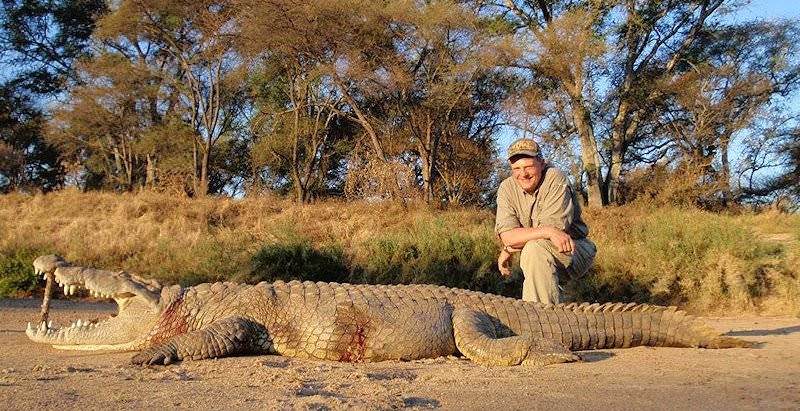 The Nile crocodile is one of the more unique dangerous game species available.