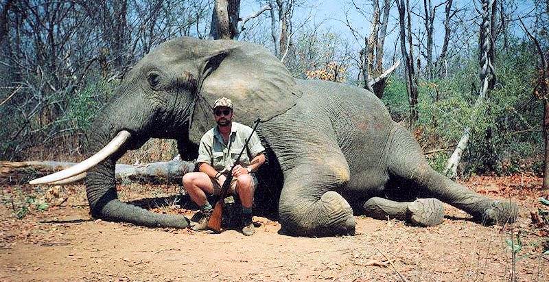 A classic African elephant hunting safari.