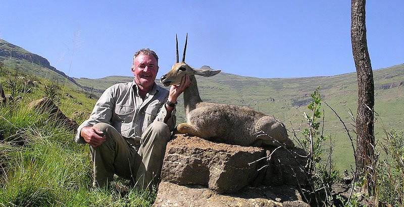 A grey rhebuck hunted in the Eastern Cape.