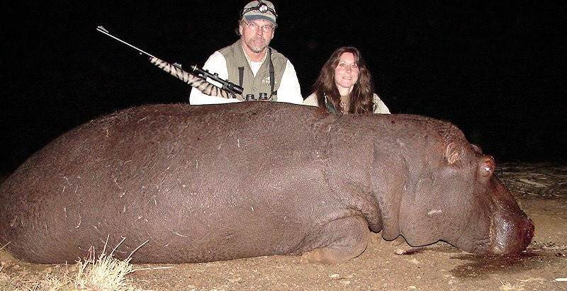 A nighttime hippopotamus hunt.