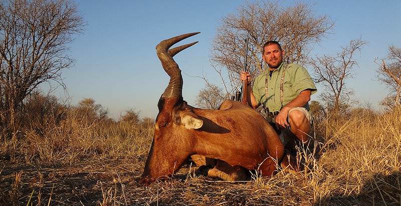 The red hartebeest is referred to as the Harley Davidson by hunters.