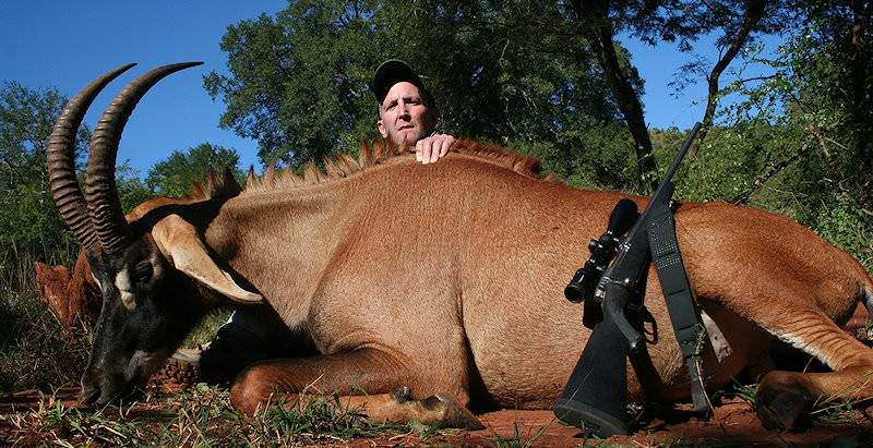 A roan antelope trophy postioned for a commemorative photograph.