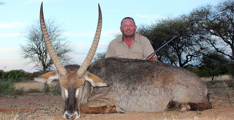 A waterbuck hunted on safari in South Africa.