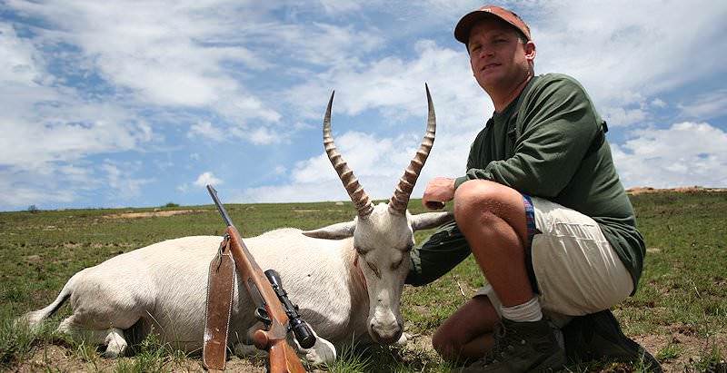 The white blesbok makes for an attractive trophy.