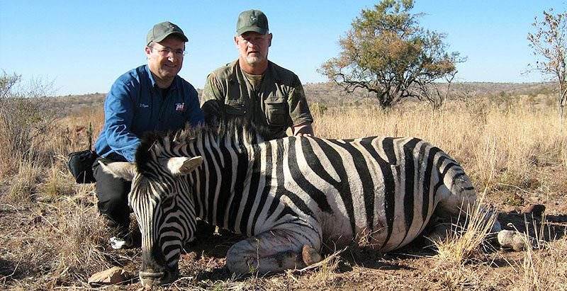 A zebra hunt in South Africa.